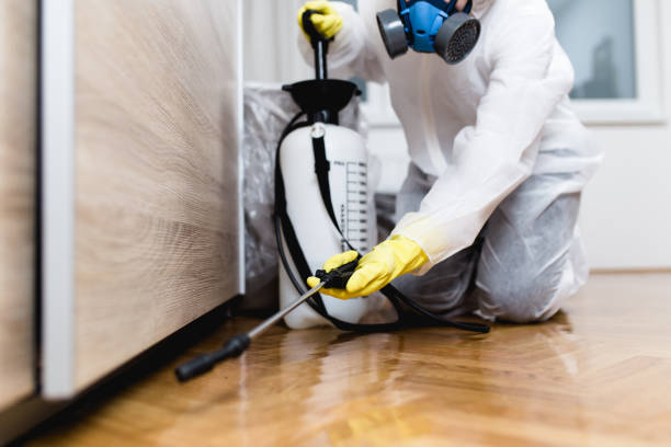 Best Cockroach Control Services  in Longbranch, WA