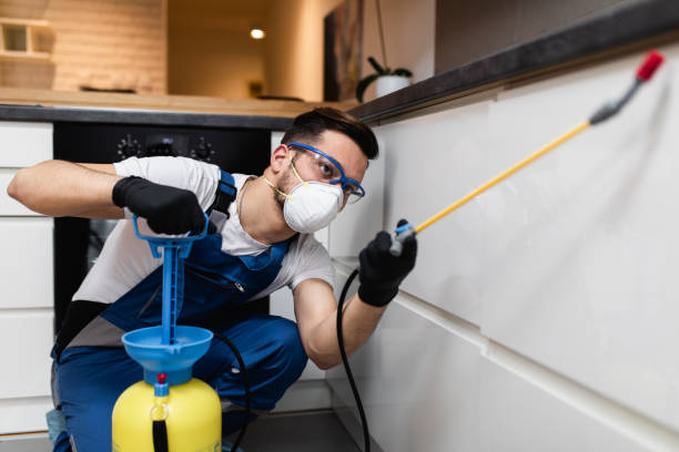 Pest Prevention Services in Longbranch, WA