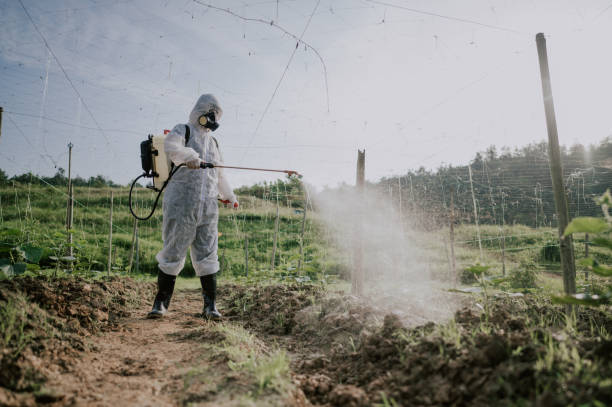 Best Best Pest Control Companies  in Longbranch, WA