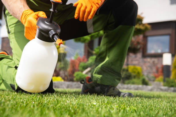 Best Ant Control Services  in Longbranch, WA