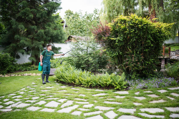 Best Termite Control Services  in Longbranch, WA