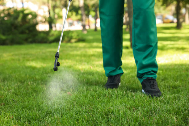 Best Mosquito Control Services  in Longbranch, WA