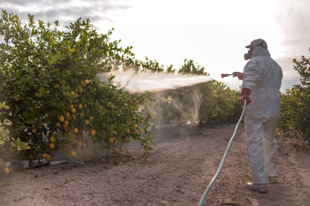 Best Commercial Pest Control Services  in Longbranch, WA