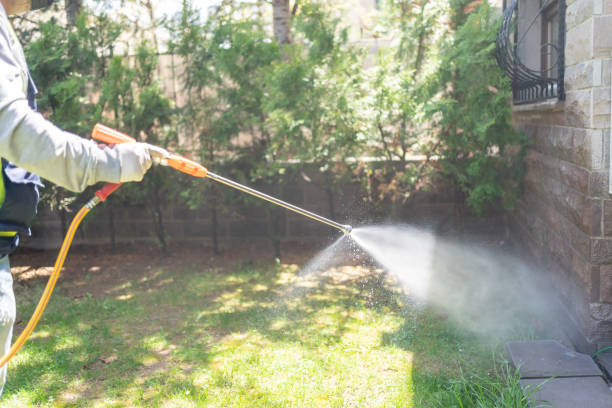 Best Bed Bug Extermination  in Longbranch, WA
