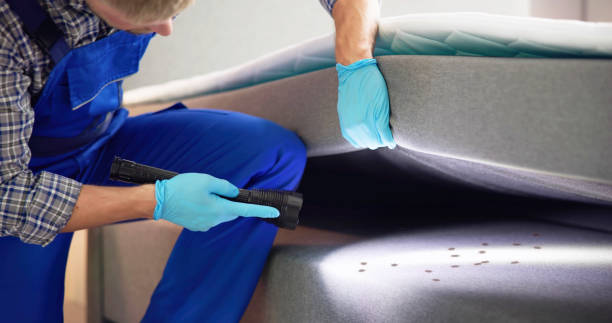 Best Residential Pest Control  in Longbranch, WA