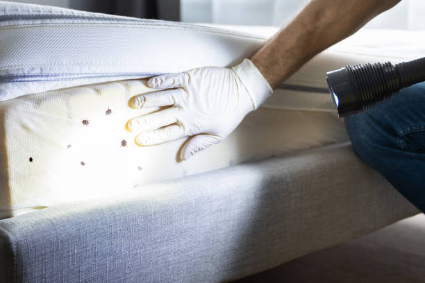 Professional Pest Control in Longbranch, WA