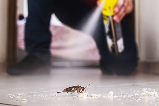 Best Exterminator Services  in Longbranch, WA