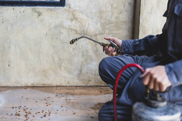 Best Local Pest Control Services  in Longbranch, WA
